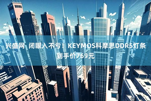 兴盛网  闭眼入不亏！KEYMOS科摩思DDR5灯条到手价769元