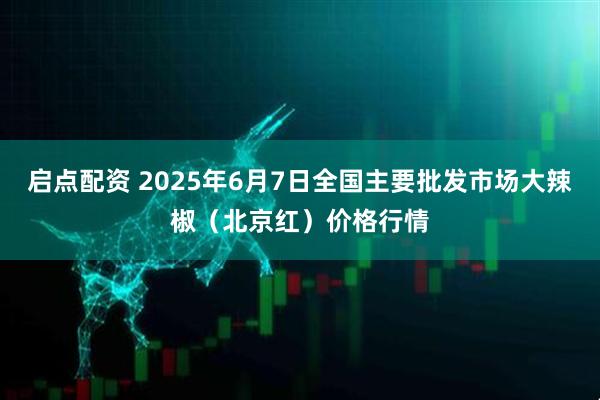 启点配资 2025年6月7日全国主要批发市场大辣椒（北京红）价格行情