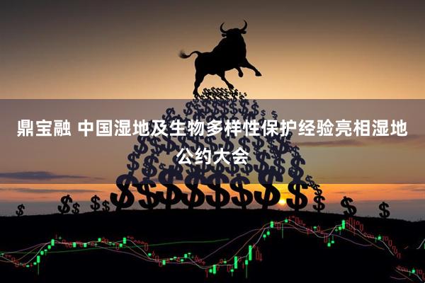 鼎宝融 中国湿地及生物多样性保护经验亮相湿地公约大会