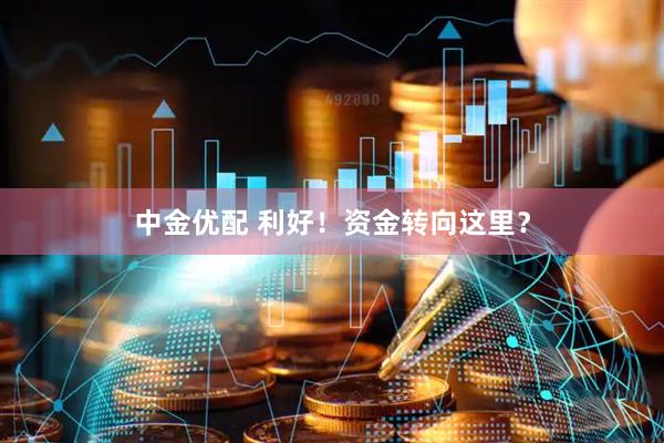 中金优配 利好！资金转向这里？