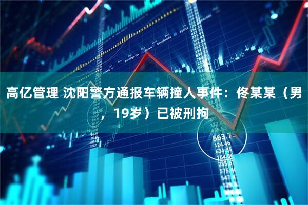 高亿管理 沈阳警方通报车辆撞人事件：佟某某（男，19岁）已被刑拘