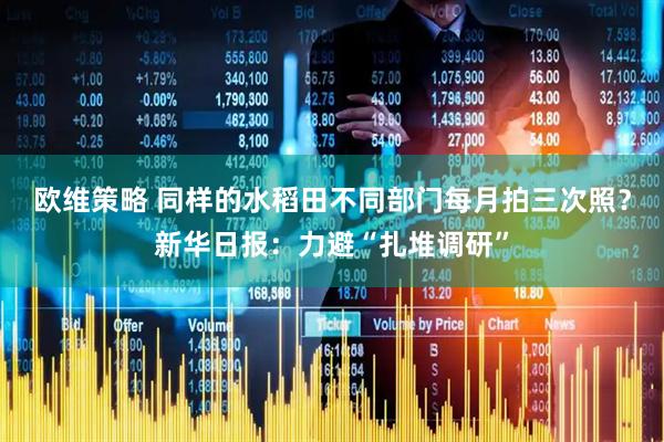 欧维策略 同样的水稻田不同部门每月拍三次照？新华日报：力避“扎堆调研”