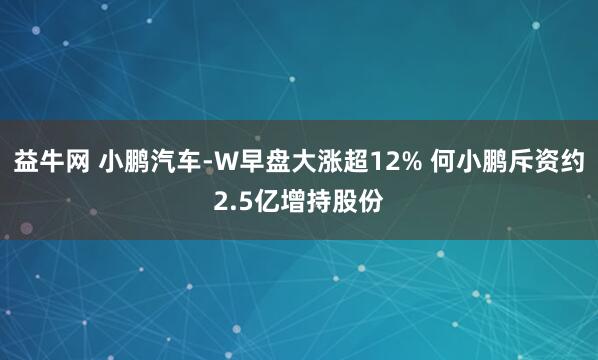益牛网 小鹏汽车-W早盘大涨超12% 何小鹏斥资约2.5亿增持股份