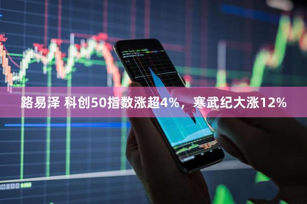路易泽 科创50指数涨超4%，寒武纪大涨12%