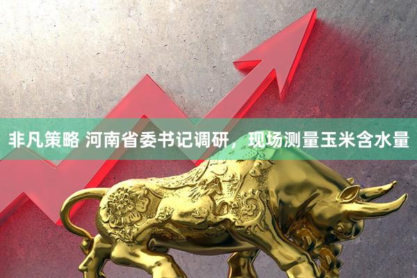 非凡策略 河南省委书记调研，现场测量玉米含水量