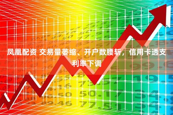 凤凰配资 交易量萎缩、开户数腰斩，信用卡透支利率下调